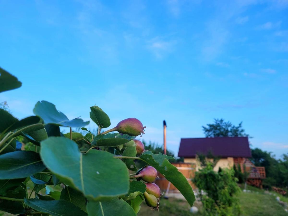 Casa David Villa Plai  Buitenkant foto